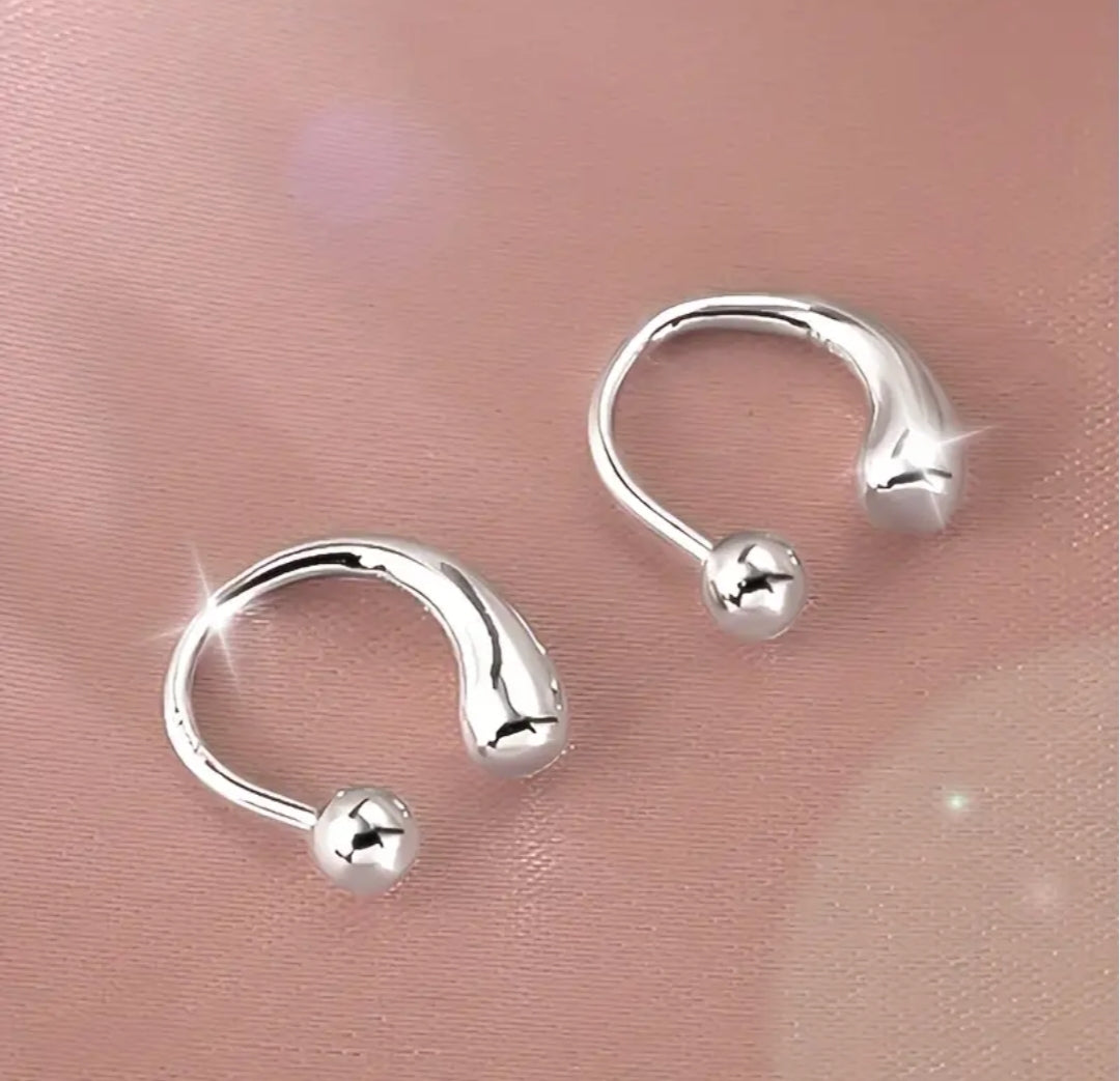 Sterling Silver Fancy Hoop Earrings