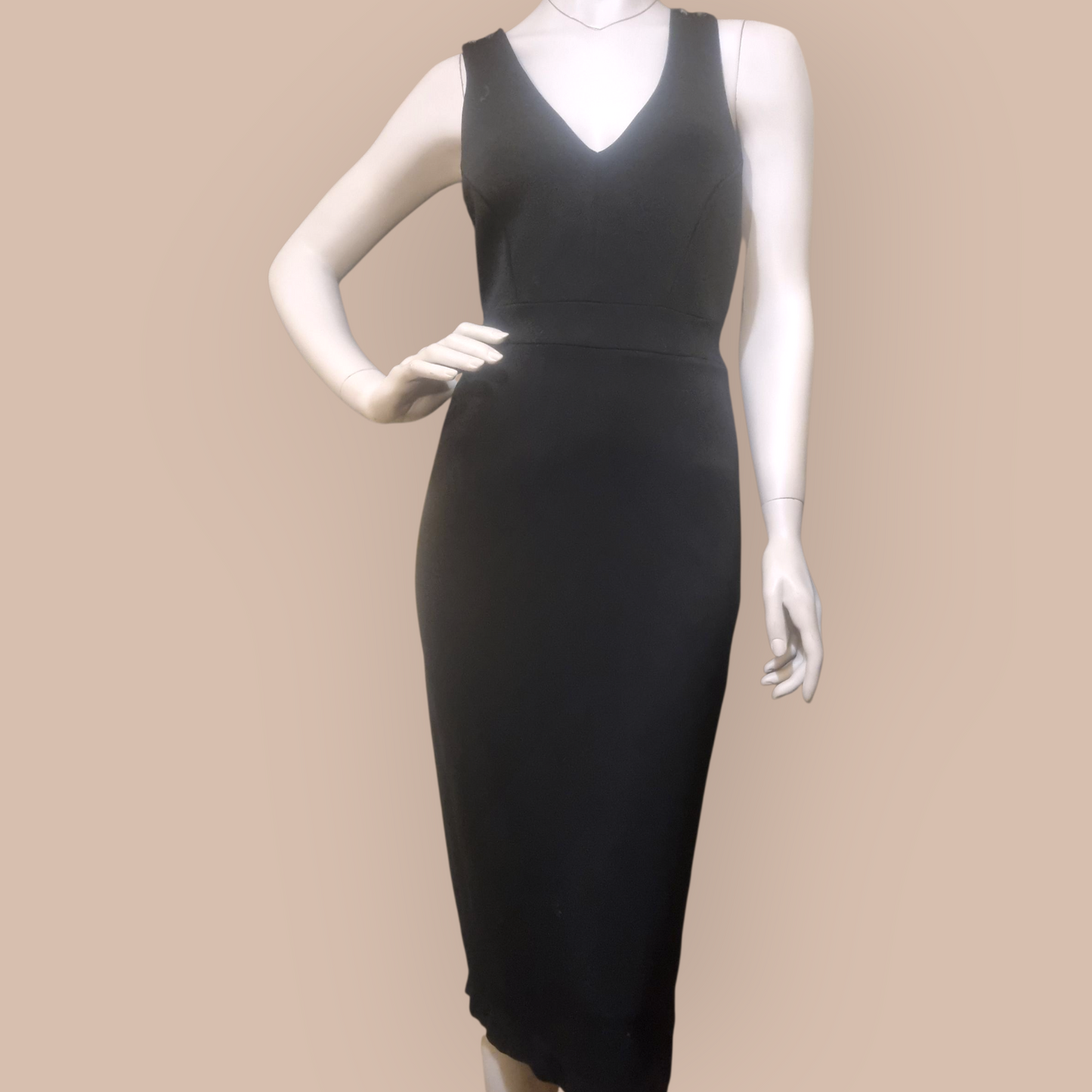 Sass & Bide Tight For It Bodycon Dress sz 8