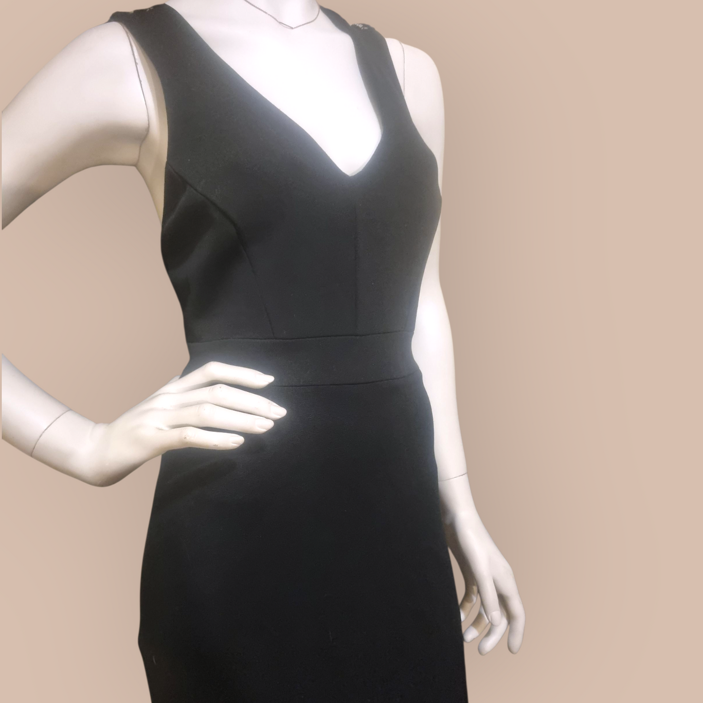 Sass & Bide Tight For It Bodycon Dress sz 8