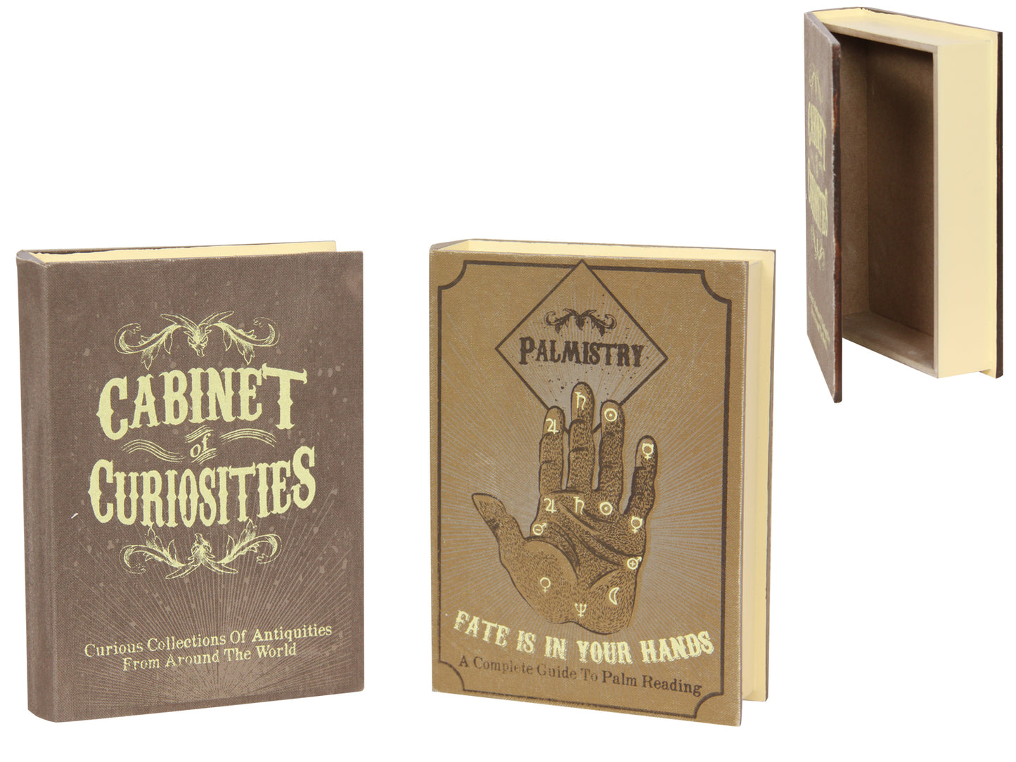 Cabinet of Curiosities Box Box
