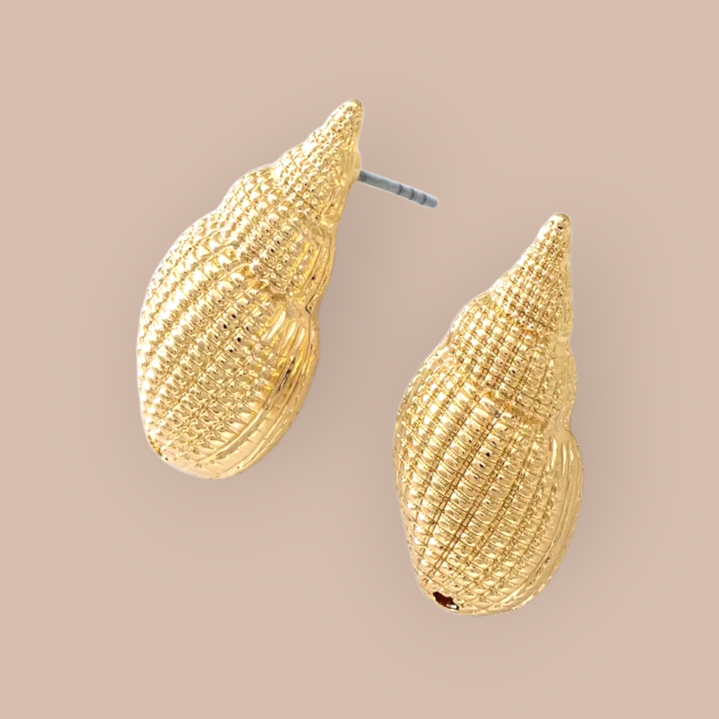 Conch Stainless Steel Earrings