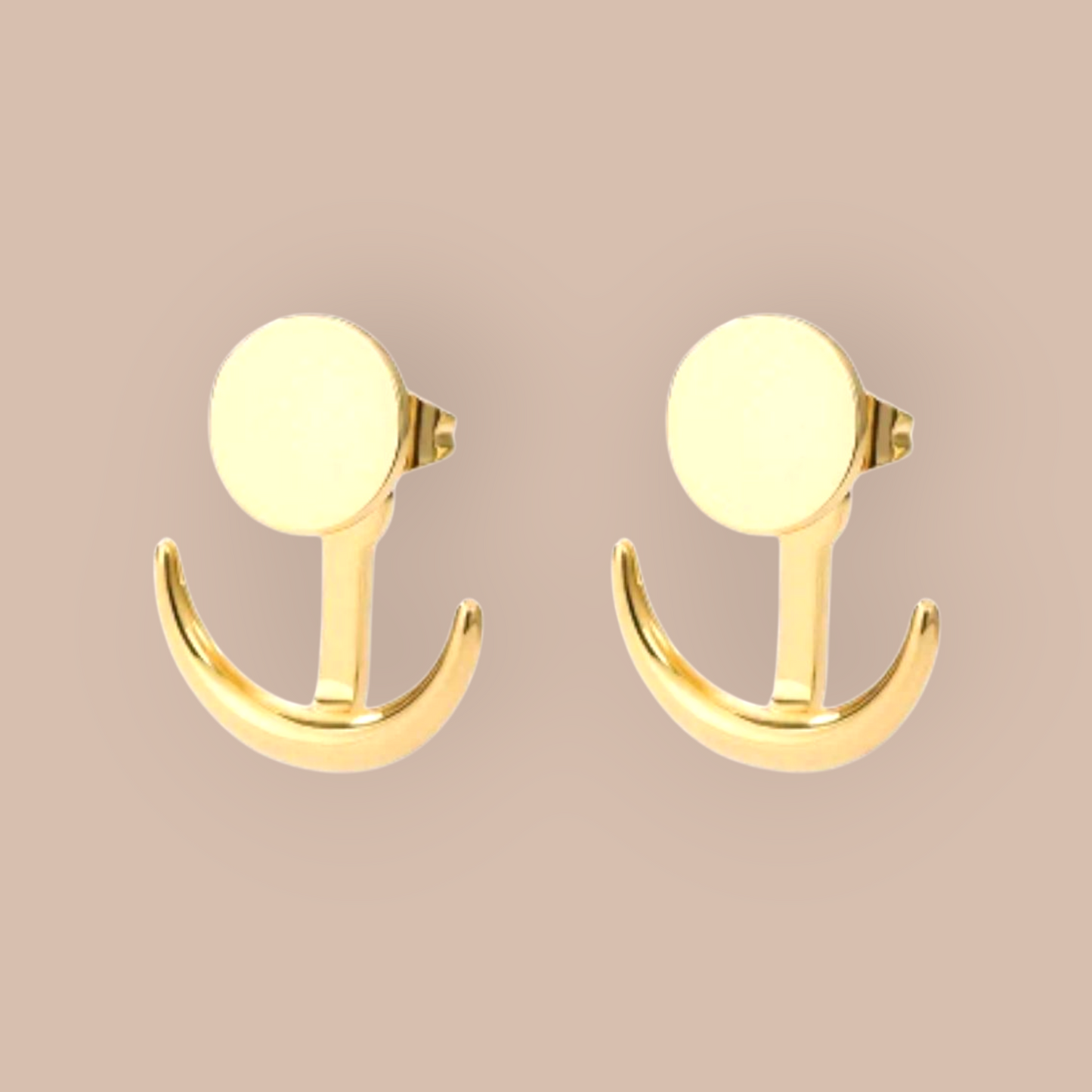 Firmly Anchored Stainless Steel Earrings