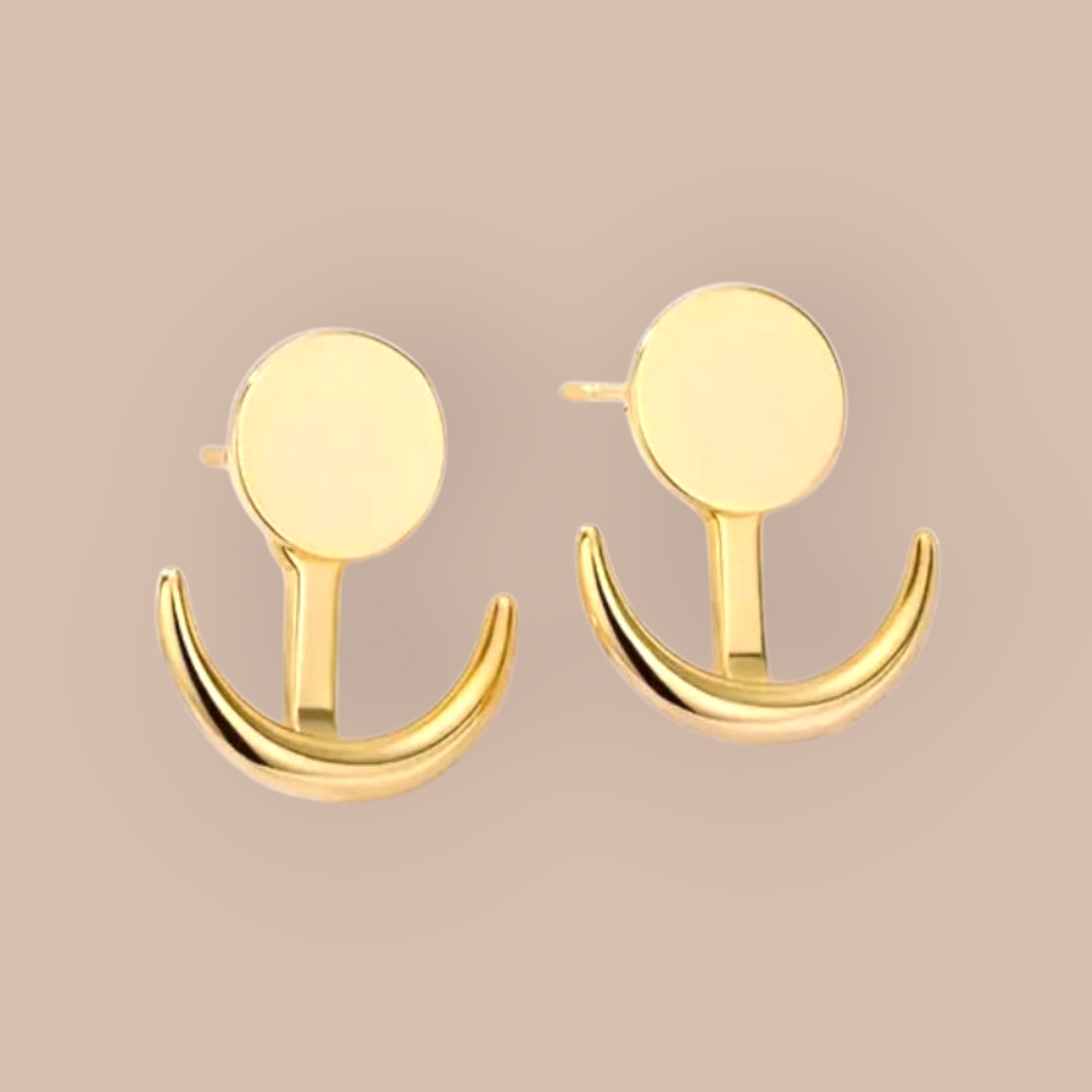 Firmly Anchored Stainless Steel Earrings