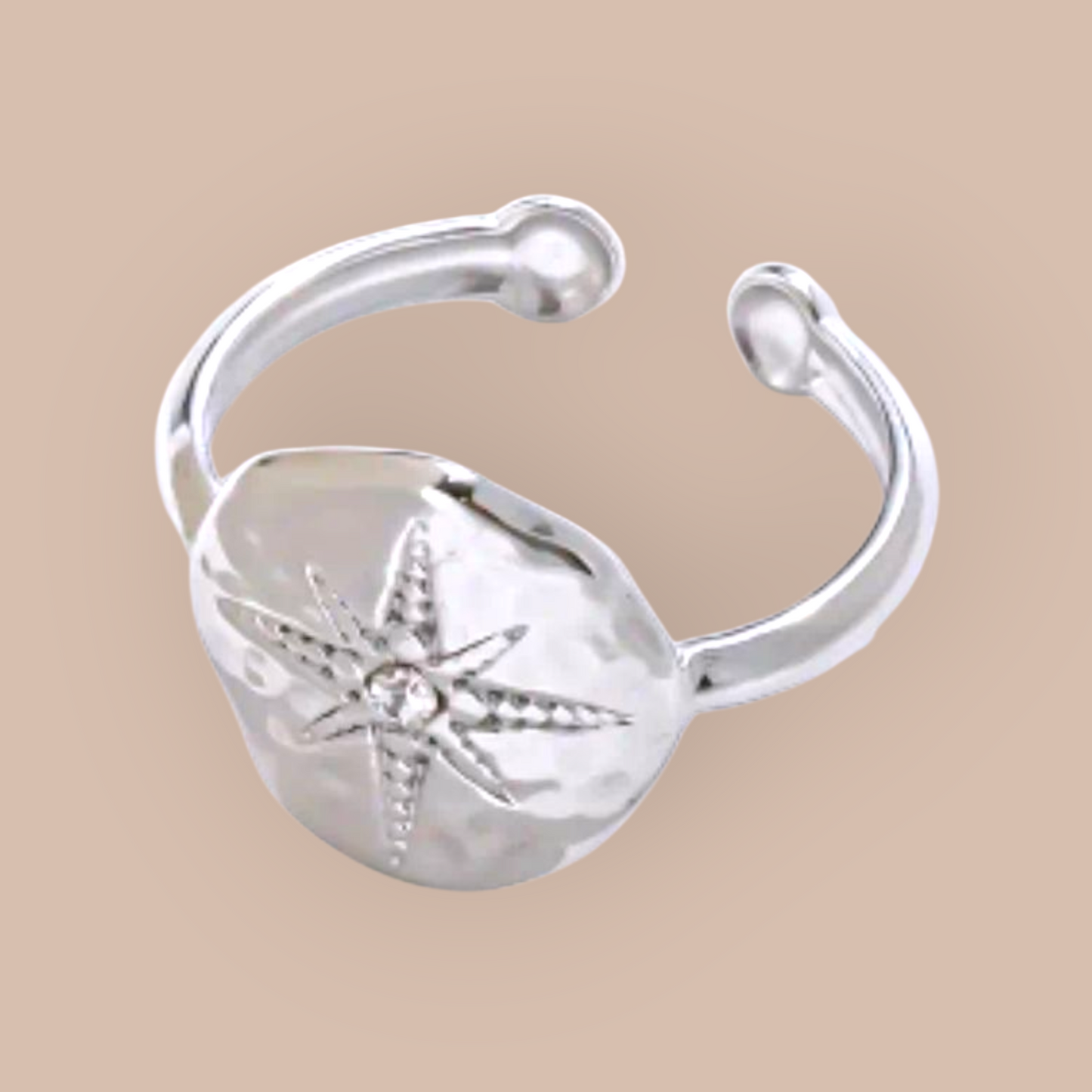 Show Me the Way Compass Adjustable Stainless Steel Ring