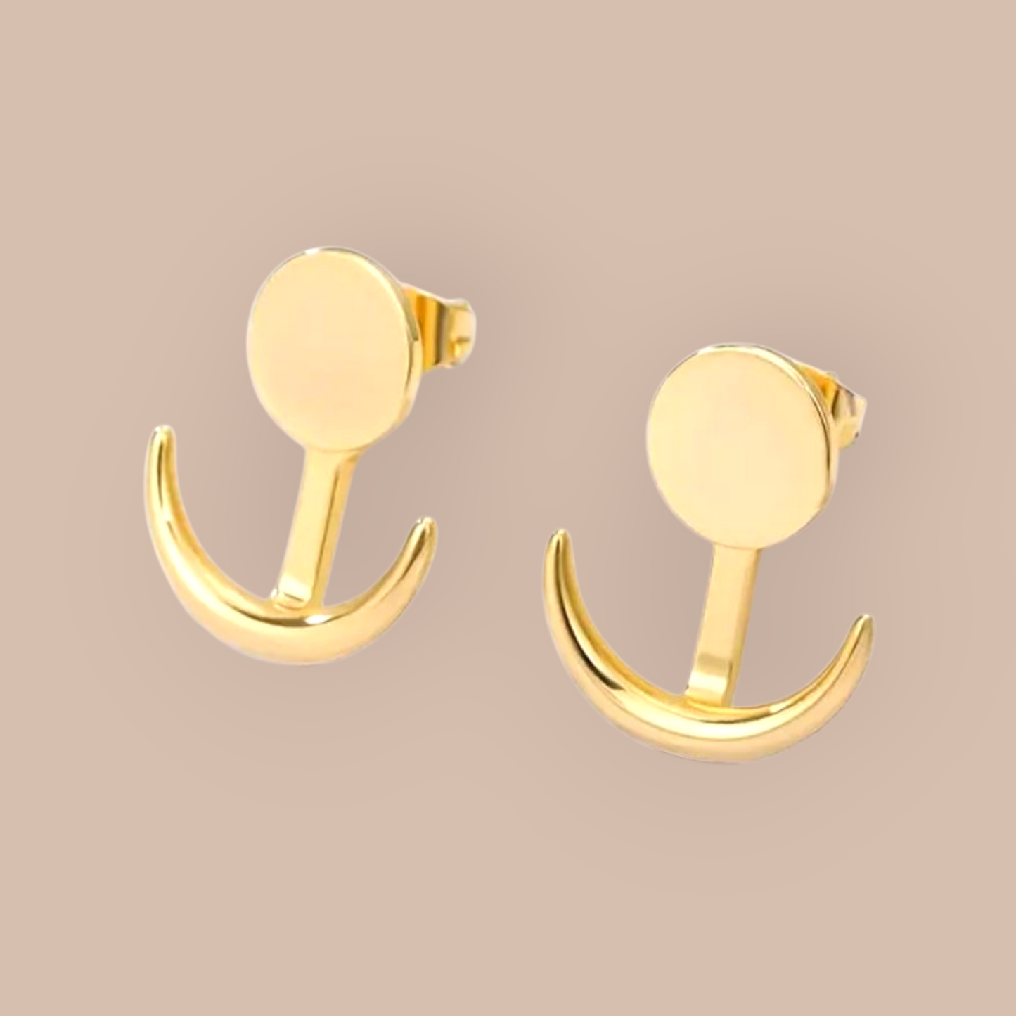 Firmly Anchored Stainless Steel Earrings