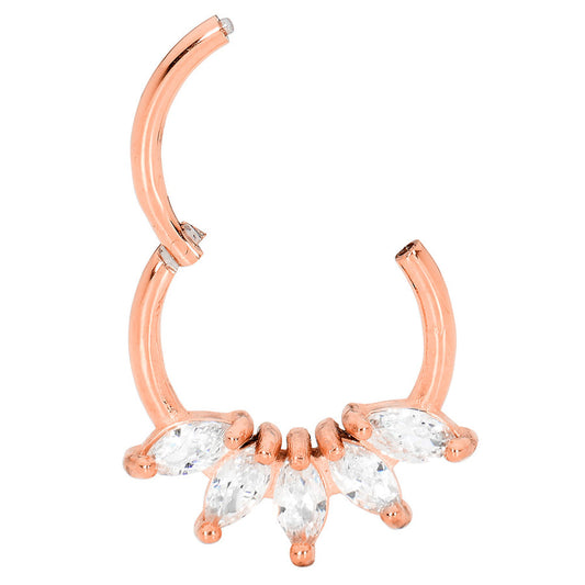 SINGLE 4 GEM TITANIUM SEGMENT CLICKER RING
SUITABLE FOR NOSE & DAITH PIERCING